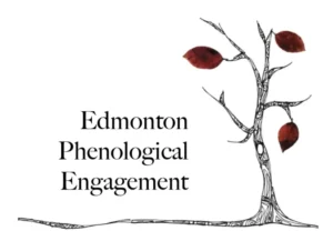 edmonton phenological engagement logo