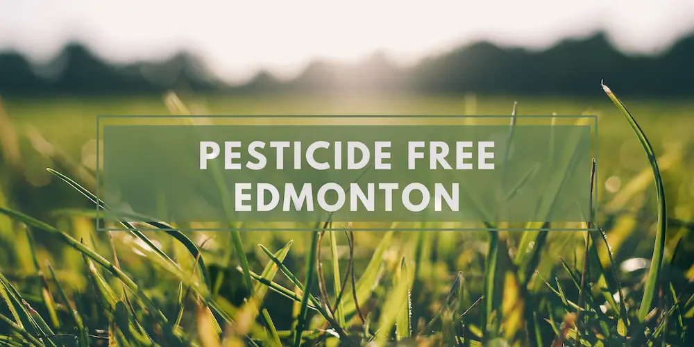 Pesticide Free Edmonton